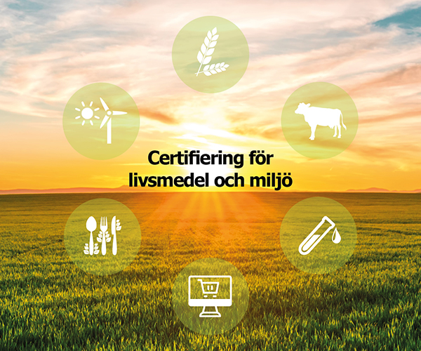 Öppet fält med symboler i en cirkel som symboliserar hela kedjan som certifieringen arbetar med.