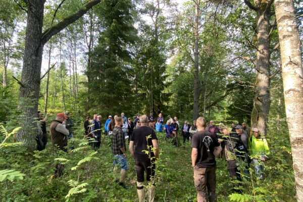 Personer som står i skogen och samtalar